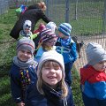 IMG_3420