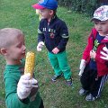 Image_12