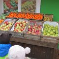 IMG_1396