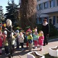 Image_16