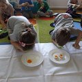 Image_48