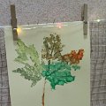 IMG_6226