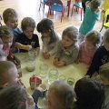 IMG_0587
